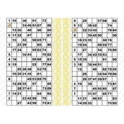 Plaque de 12 cartons de loto plastifié pliable neuf (A3).