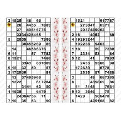 Plaque de 12 cartons de loto plastifié pliable neuf (A3).