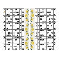 Plaque de 12 cartons de loto plastifié pliable neuf (A3).