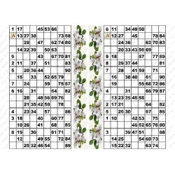 Plaque de 12 cartons de loto plastifié pliable neuf (A3).