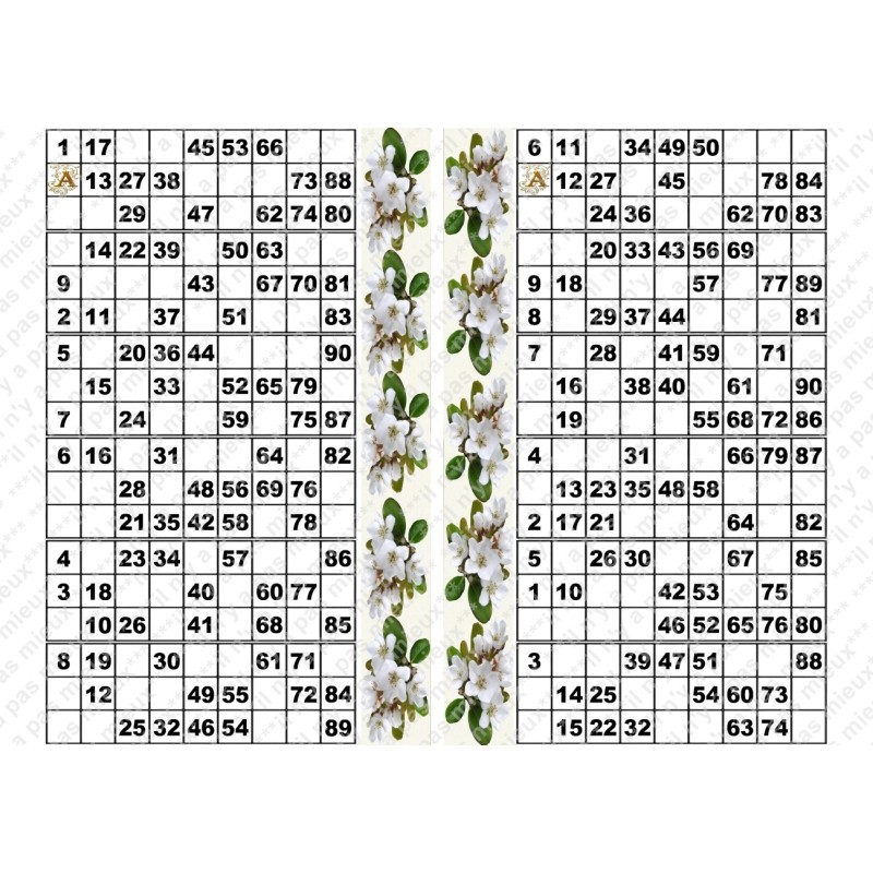 Plaque de 12 cartons de loto plastifié pliable neuf (A3).