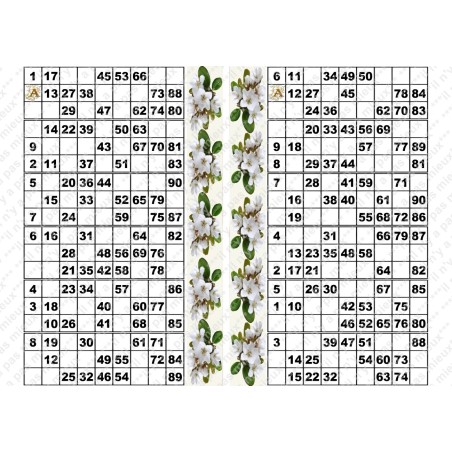 Plaque de 12 cartons de loto plastifié pliable neuf (A3).