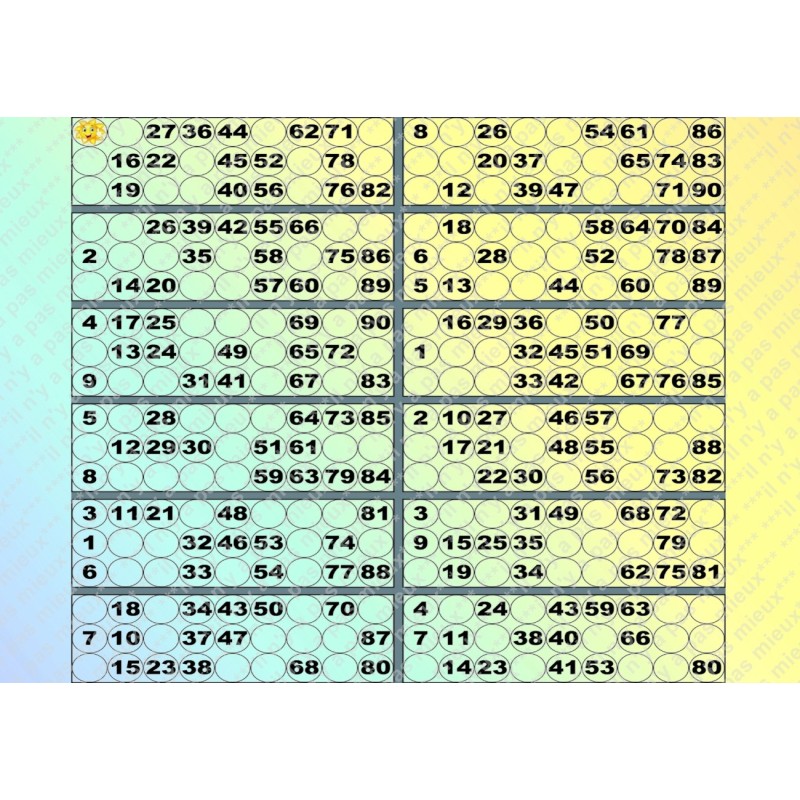 Plaque de 12 cartons de loto plastifié pliable neuf (A3).