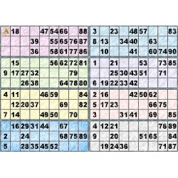 Plaque de 8 cartons de loto plastifié pliable neuf (A3)idéal pour les malvoyants.