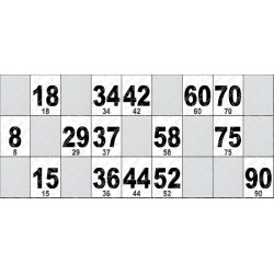 Carton de Loto Plastifié 250 Microns à l'unité 20 x 9 cm.