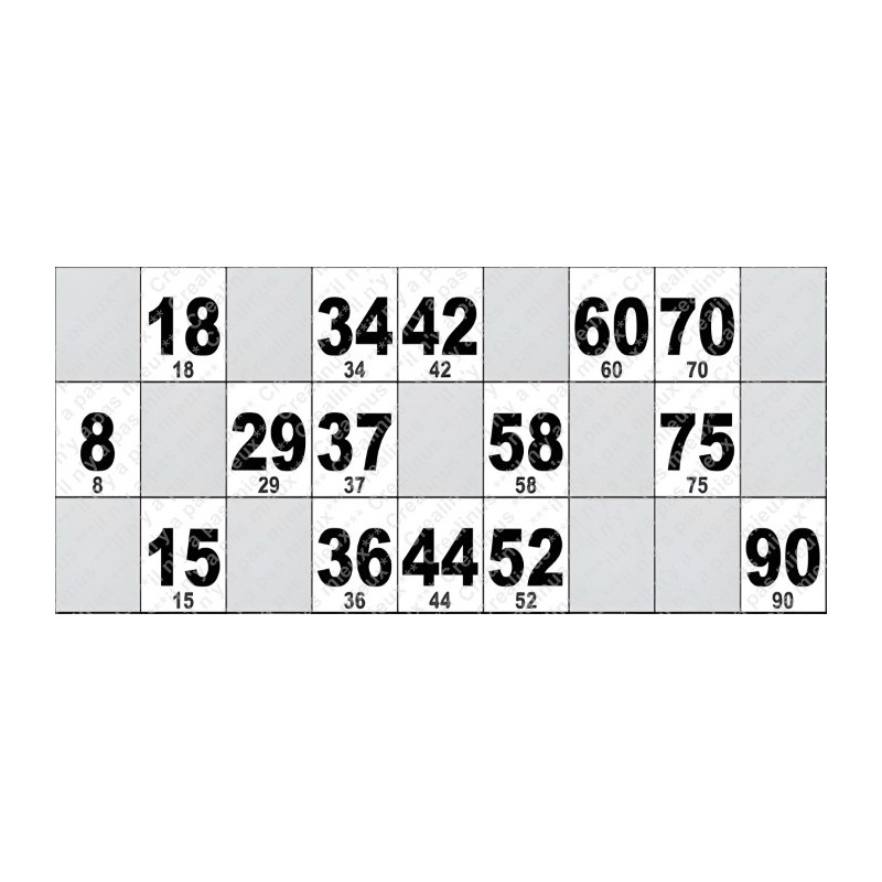 Carton de Loto Plastifié 250 Microns à l'unité 20 x 9 cm.
