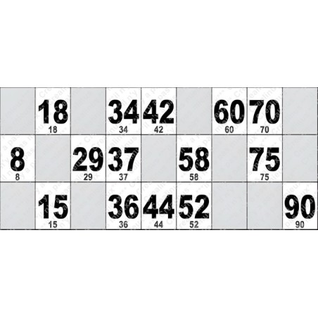 Carton de Loto Plastifié 250 Microns à l'unité 20 x 9 cm.