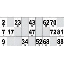 Carton de Loto Plastifié 250 Microns à l'unité 20 x 9 cm.