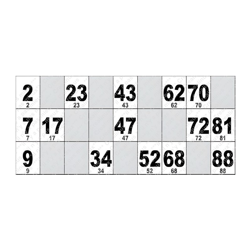 Carton de Loto Plastifié 250 Microns à l'unité 20 x 9 cm.
