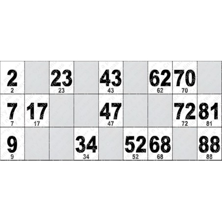 Carton de Loto Plastifié 250 Microns à l'unité 20 x 9 cm.