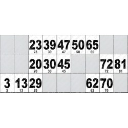 Carton de Loto Plastifié 250 Microns à l'unité 20 x 9 cm.