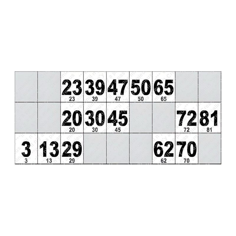 Carton de Loto Plastifié 250 Microns à l'unité 20 x 9 cm.