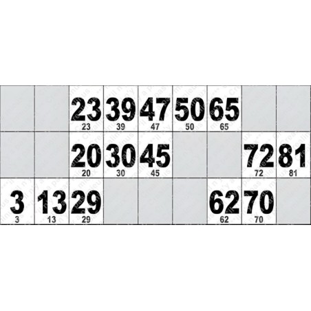 Carton de Loto Plastifié 250 Microns à l'unité 20 x 9 cm.