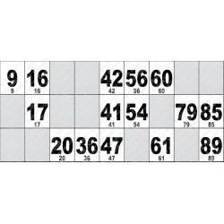 Carton de Loto Plastifié 250 Microns à l'unité 20 x 9 cm.