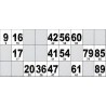 Carton de Loto Plastifié 250 Microns à l'unité 20 x 9 cm.
