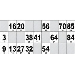 Carton de Loto Plastifié 250 Microns à l'unité 20 x 9 cm.