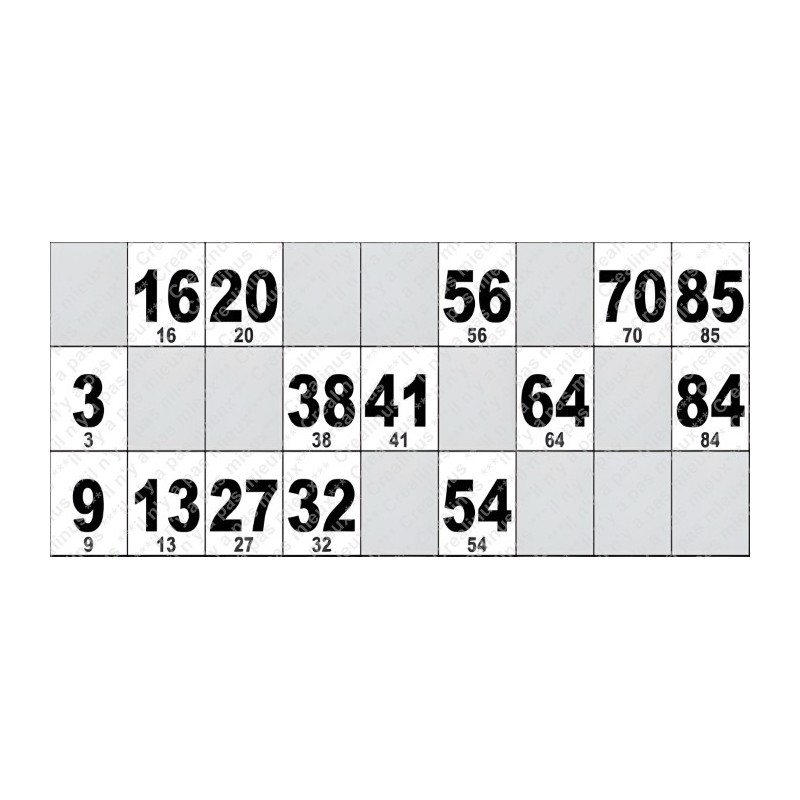 Carton de Loto Plastifié 250 Microns à l'unité 20 x 9 cm.