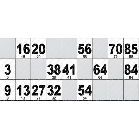 Carton de Loto Plastifié 250 Microns à l'unité 20 x 9 cm.