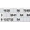Carton de Loto Plastifié 250 Microns à l'unité 20 x 9 cm.