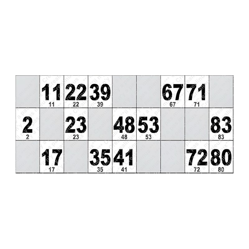Carton de Loto Plastifié 250 Microns à l'unité 20 x 9 cm.