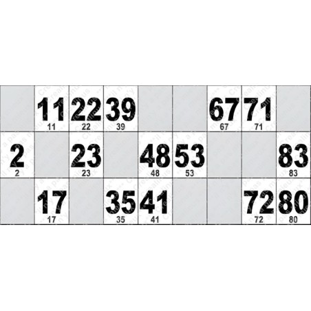 Carton de Loto Plastifié 250 Microns à l'unité 20 x 9 cm.