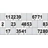 Carton de Loto Plastifié 250 Microns à l'unité 20 x 9 cm.
