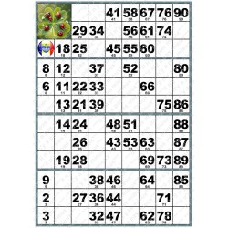 Plaque de 4 Cartons de Loto Plastifié 200 Microns Vertical (A4)