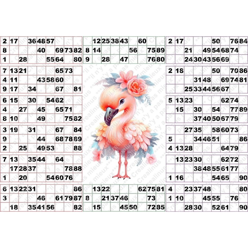 Plaque de 14 cartons de loto plastifié 200 microns neuf (A3) Pliable en 3.