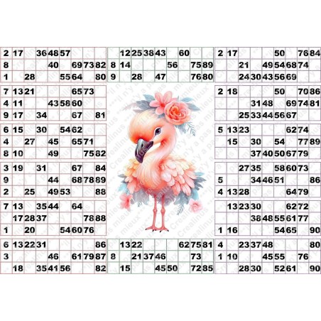 Plaque de 14 cartons de loto plastifié 200 microns neuf (A3) Pliable en 3.