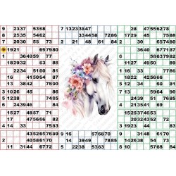 Plaque de 14 cartons de loto plastifié 200 microns neuf (A3) Pliable en 3.