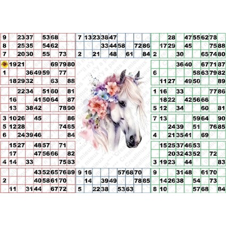 Plaque de 14 cartons de loto plastifié 200 microns neuf (A3) Pliable en 3.