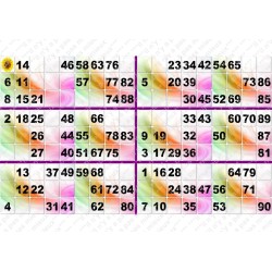 Plaque de 6 cartons de loto plastifié 200 microns neuf A4.