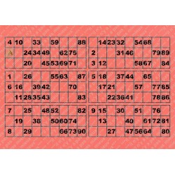 Plaque de 6 cartons de loto plastifié 200 microns neuf A4.