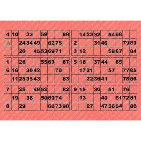 Plaque de 6 cartons de loto plastifié 200 microns neuf A4.
