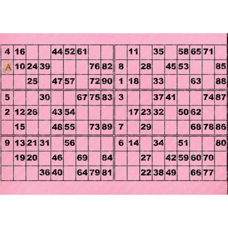 Plaque de 6 cartons de loto plastifié 200 microns neuf A4.