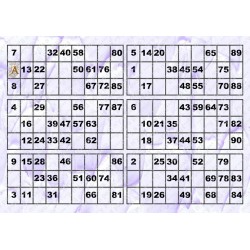 Plaque de 6 cartons de loto plastifié 200 microns neuf A4.