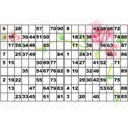 Plaque de 6 cartons de loto plastifié 200 microns neuf A4.