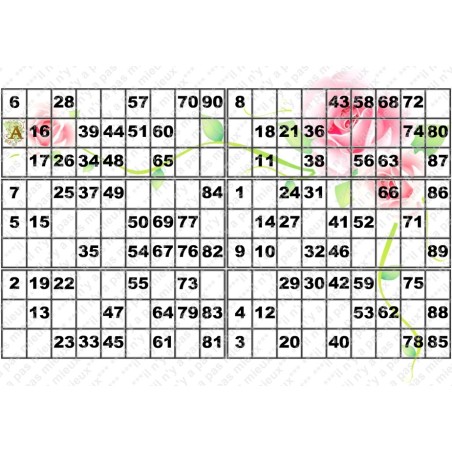 Plaque de 6 cartons de loto plastifié 200 microns neuf A4.
