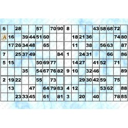 Plaque de 6 cartons de loto plastifié 200 microns neuf A4.