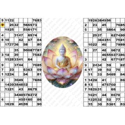 Plaque de 12 cartons de loto plastifié 500 Microns neuf (A3) il n'y a pas mieux !