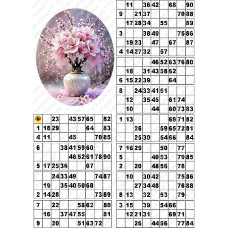 Plaque de 12 cartons de loto plastifié pliable neuf (A3) il n'y a pas mieux !