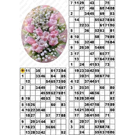 Plaque de 12 cartons de loto plastifié pliable neuf (A3) il n'y a pas mieux !