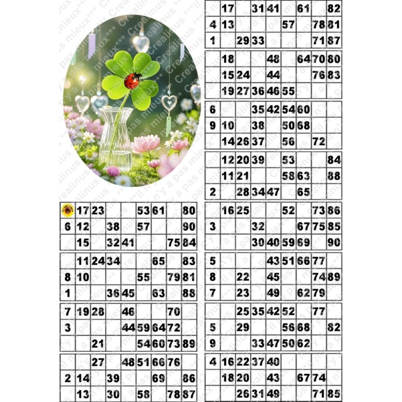 Plaque de 12 cartons de loto plastifié pliable neuf (A3) il n'y a pas mieux !