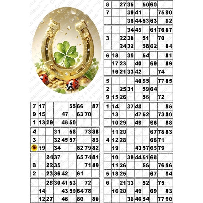 Plaque de 12 cartons de loto plastifié pliable neuf (A3) il n'y a pas mieux !