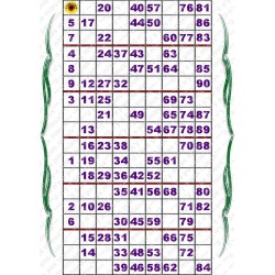 Plaque de 6 cartons de loto plastifié 200 microns neuf A4.