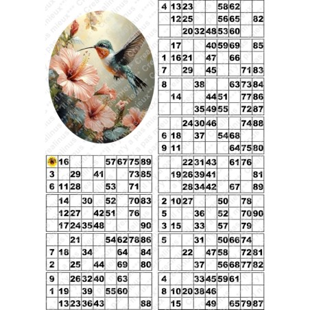 Plaque de 12 cartons de loto plastifié pliable neuf (A3) il n'y a pas mieux !