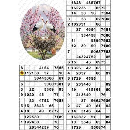 Plaque de 12 cartons de loto plastifié pliable neuf (A3) il n'y a pas mieux !