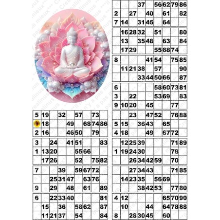 Plaque de 12 cartons de loto plastifié pliable neuf (A3) il n'y a pas mieux !