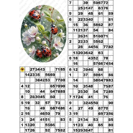 Plaque de 12 cartons de loto plastifié pliable neuf (A3) il n'y a pas mieux !