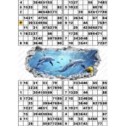 Plaque de 12 cartons de loto plastifié 500 Microns neuf (A3) il n'y a pas mieux !